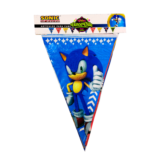 BANNER BANDERIN SONIC X10M