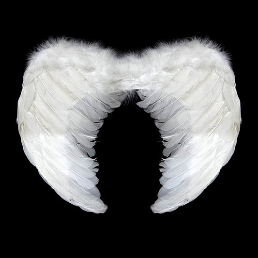 ALAS ANGEL PLUMA BLANCO 60X45CM