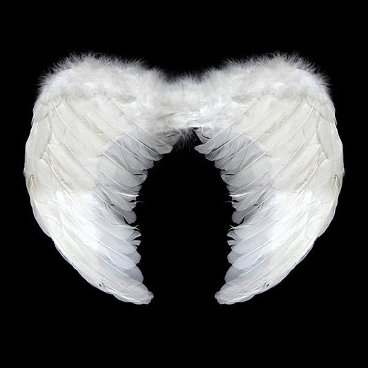 ALAS ANGEL PLUMA BLANCO 60X45 CM