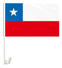 BANDERA GÉNERO 20X30CM X1U