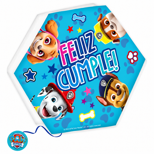 PIÑATA 2D PAW PATROL X1U